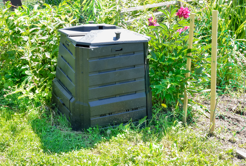Sustainable Strategies for Disposing of Packaging and Cardboard